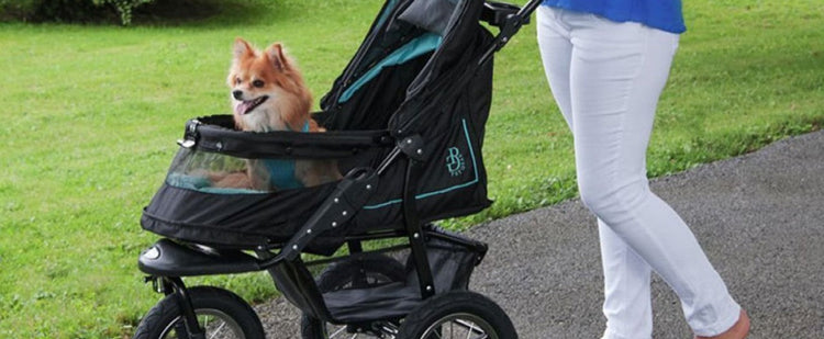 Pet Strollers