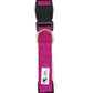 Glitter Overlay Nylon Dog Collar with Breakaway Buckle - Moondidley Pets, X-Small to Medium Sizes, Various Colours