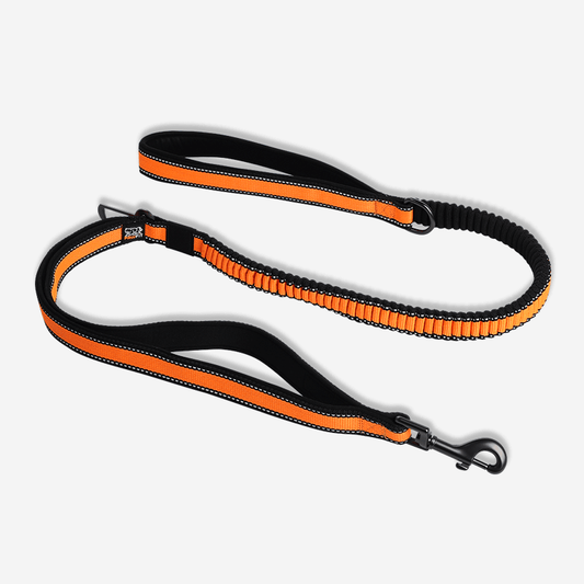 Pawfit Leash