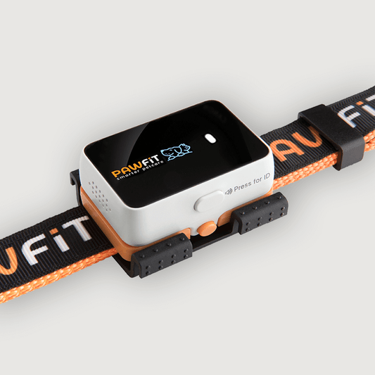 Pawfit 3 Tracker