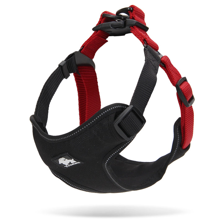 Urban Harness: Stylish and Functional in Various Colors and Sizes