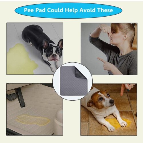 Washable Pet Pee Pads - Reusable Dog Training Wee Absorbent Mat Pads Bed in Two Sizes