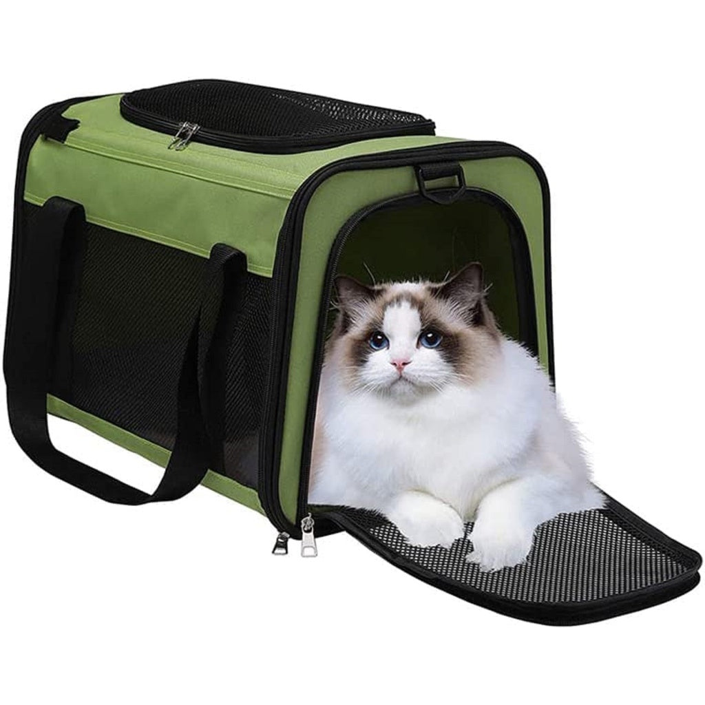 Floofi Portable Pet Carrier: Colors and Sizes Overview