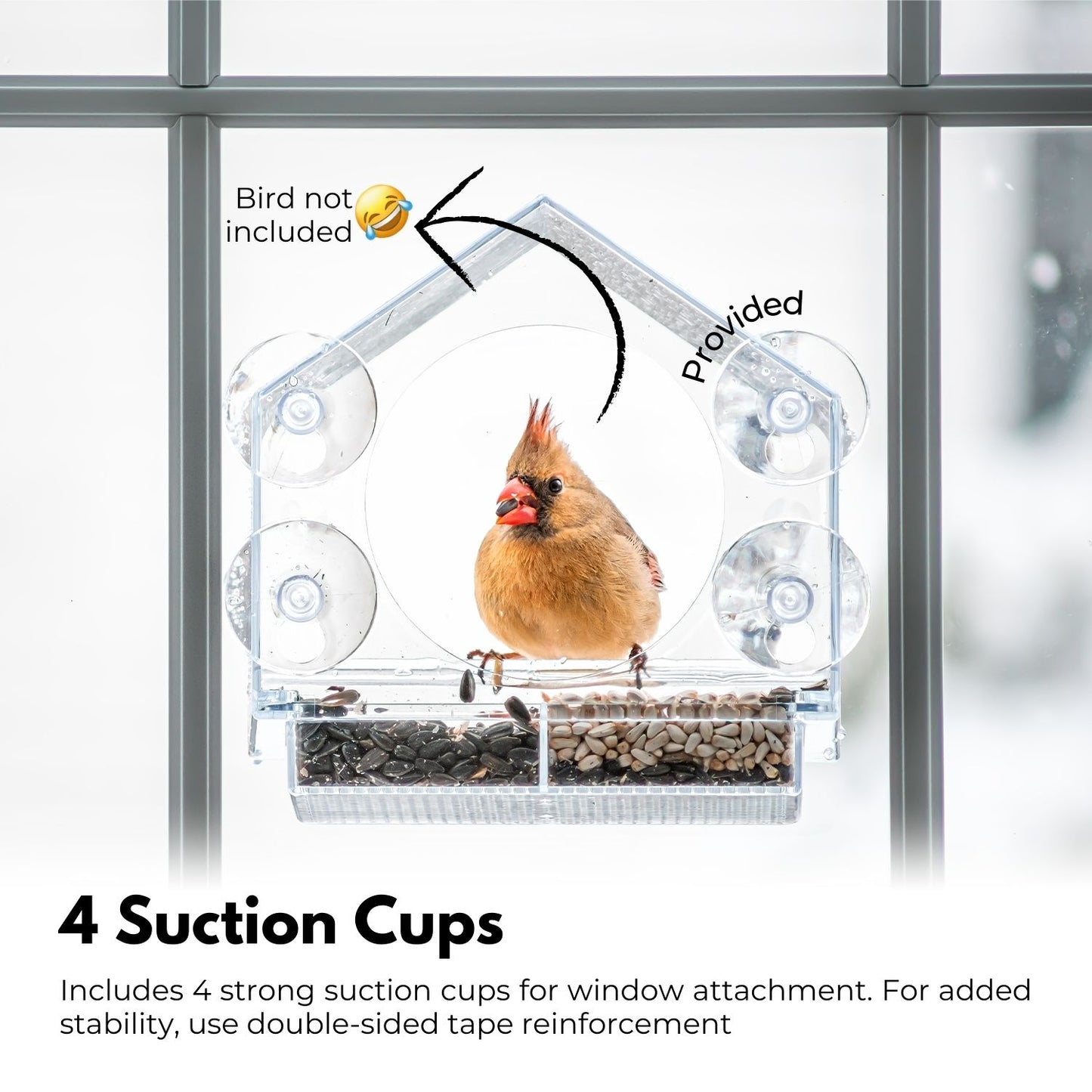 NOVEDEN Window Bird Feeder with Removable Tray Drain Holes and 4 Suction Cups (Transparent)