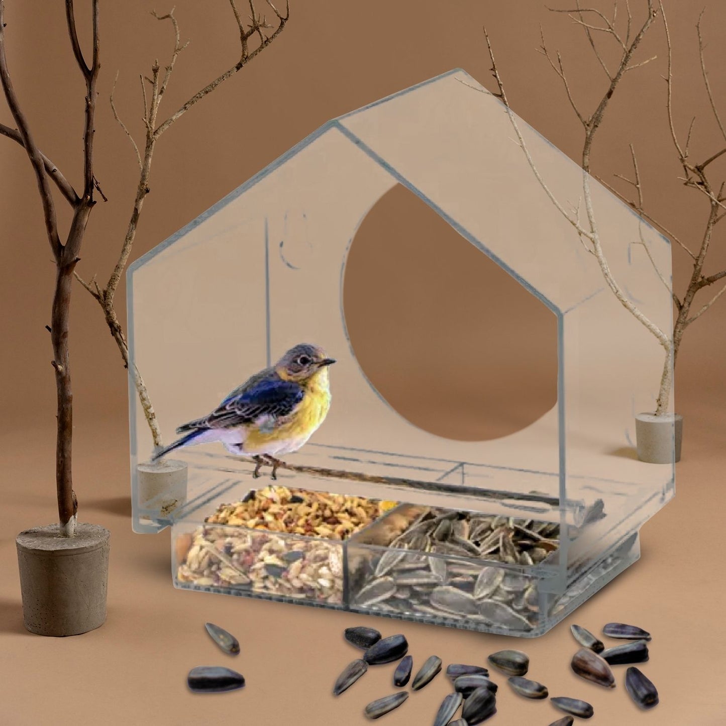 NOVEDEN Window Bird Feeder with Removable Tray Drain Holes and 4 Suction Cups (Transparent)