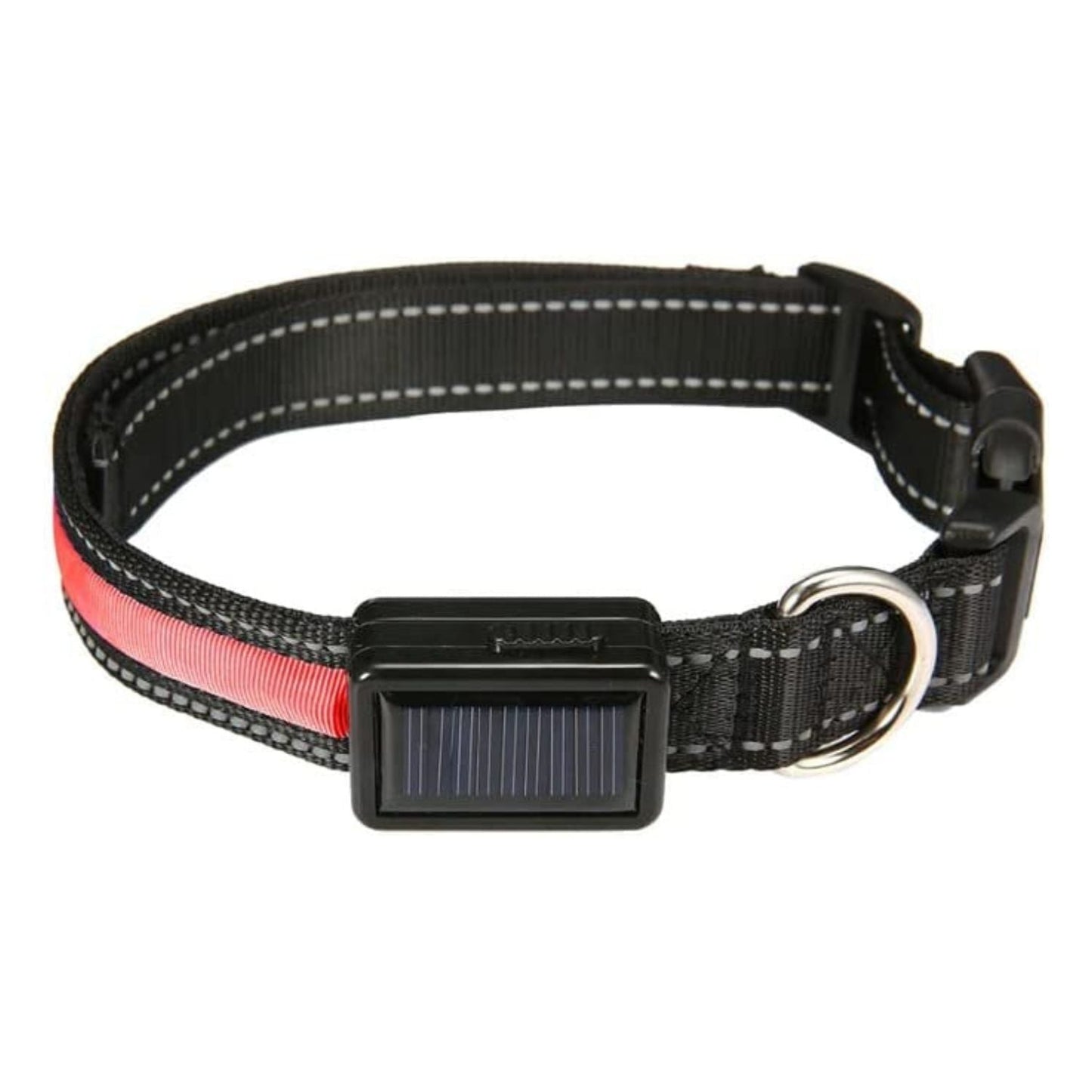 Floofi Solar USB Rechargable LED Dog Collar in various colours and sizes