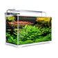 Dynamic Power Aquariums: Starfire Glass and Curved Glass Tanks with RGB LED Lighting