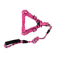 2 X Medium Pet Dog Cat Puppy Kitten Rabbit Harness Collar Leash Set - Available in 3 or 5 Colors