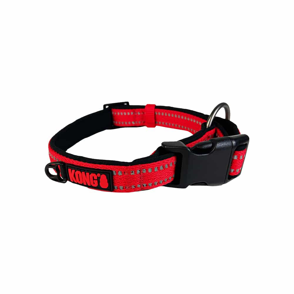 KONG Nylon Collars: Versatile Comfort in Four Colors and Sizes