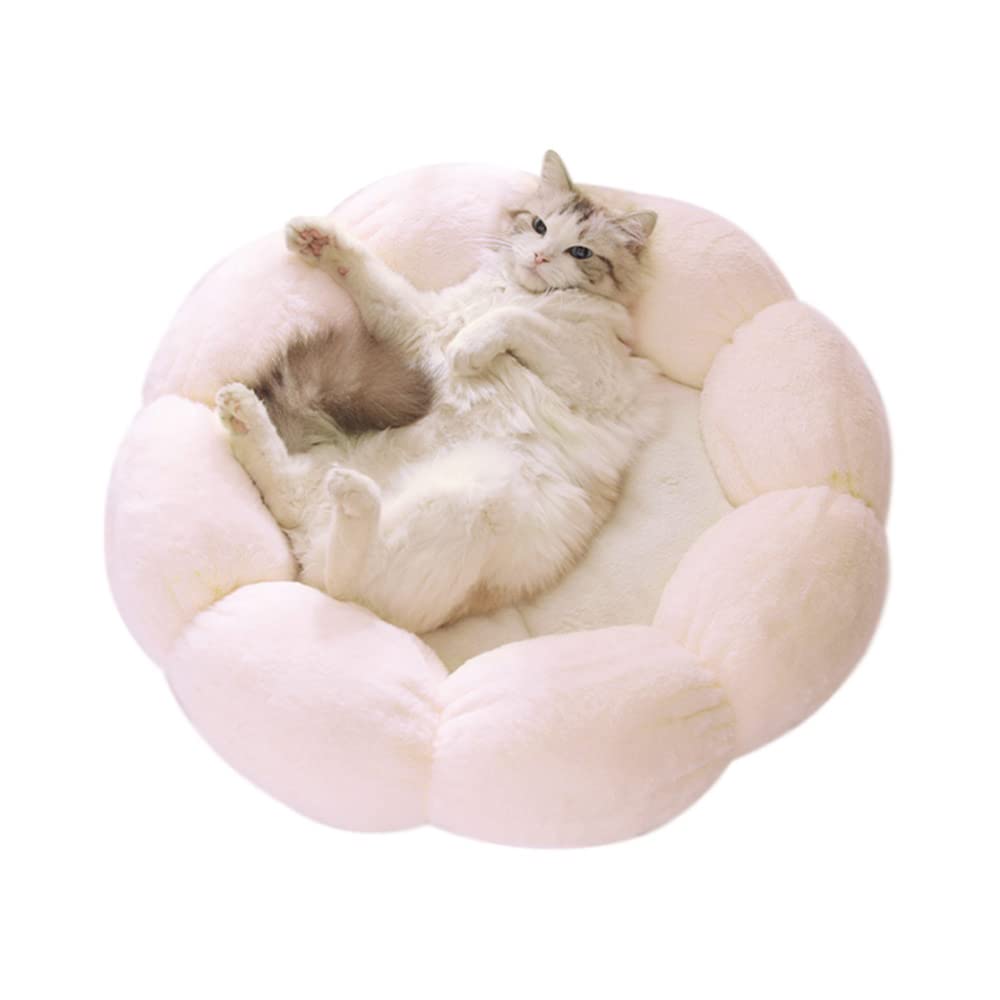 LIFEBEA Anti-Skid Cat Bed: Comfortable Haven for Cats and Small Dogs