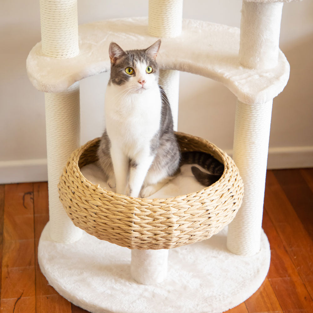 5-Platform Plush and Wicker Cat Tree