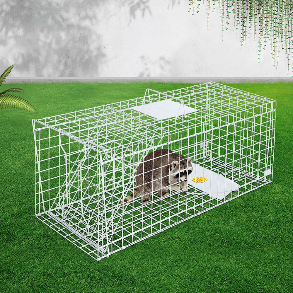 Humane Animal Cage Trap - 2 Sizes