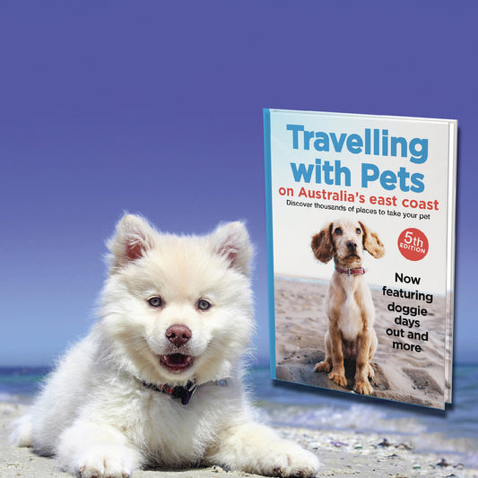Travelling With Pets - A Definitive Guide to Pet-Friendly Accommodation