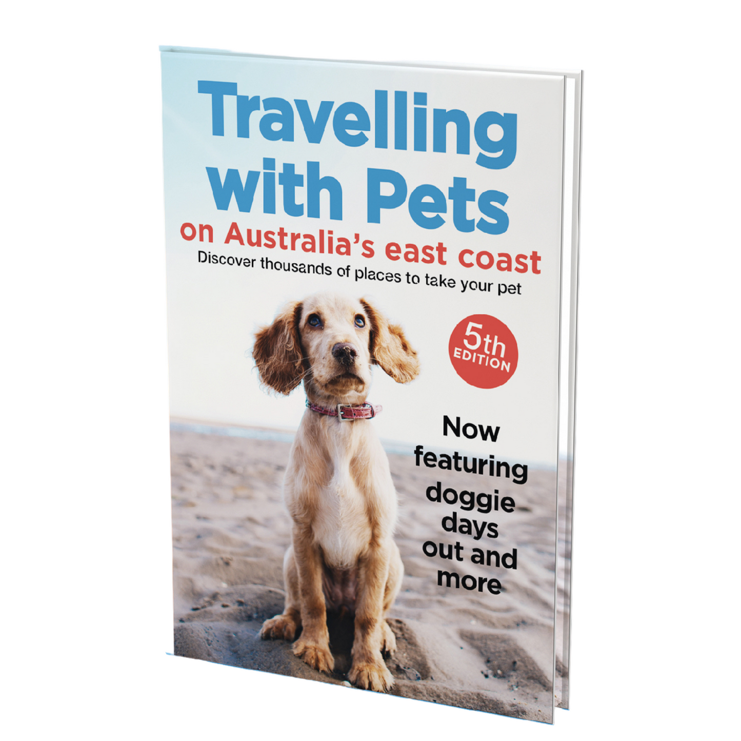 Travelling With Pets - A Definitive Guide to Pet-Friendly Accommodation