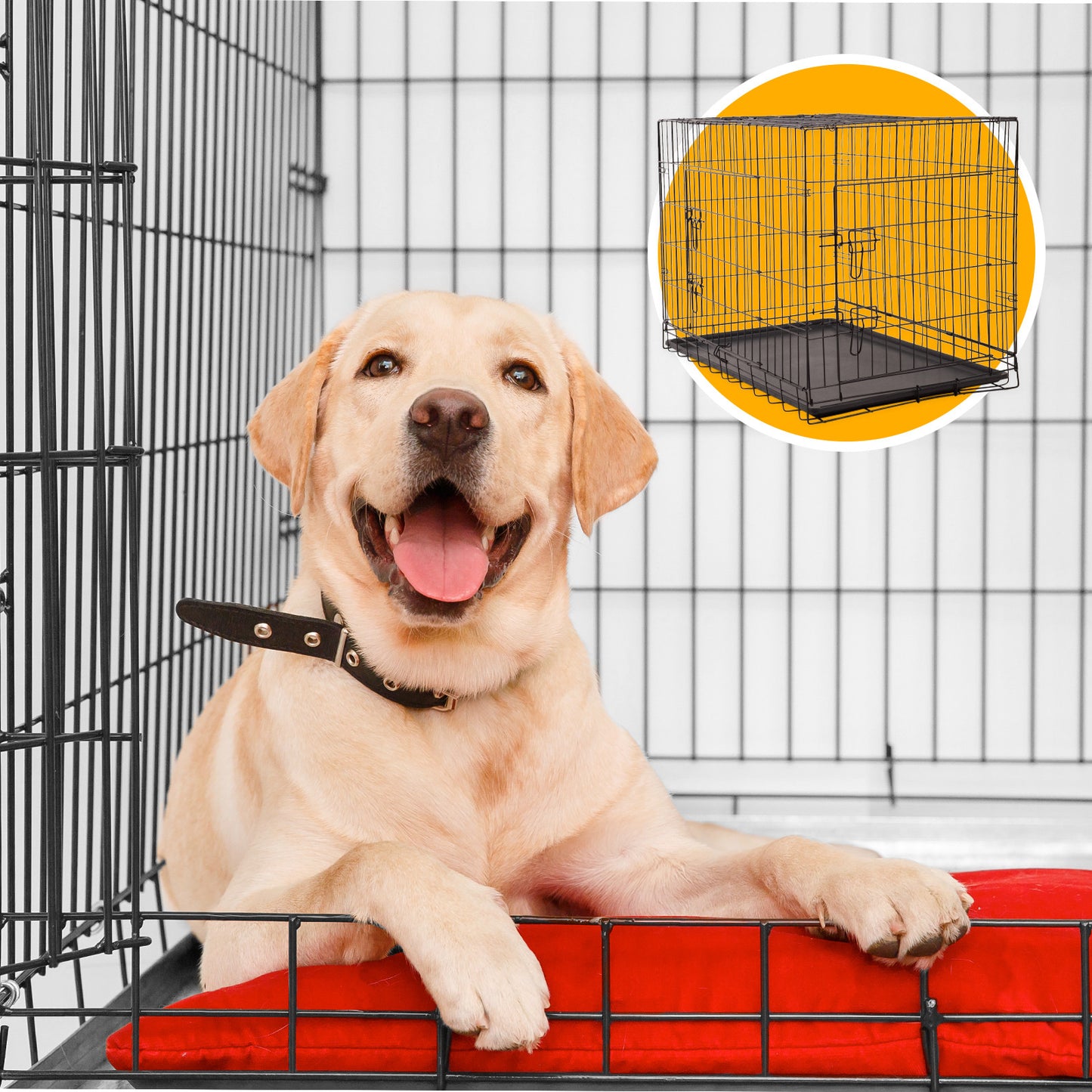 4Paws Foldable Metal Dog Crate with ABS Tray - Portable Pet Cage for Cats and Puppies, Black