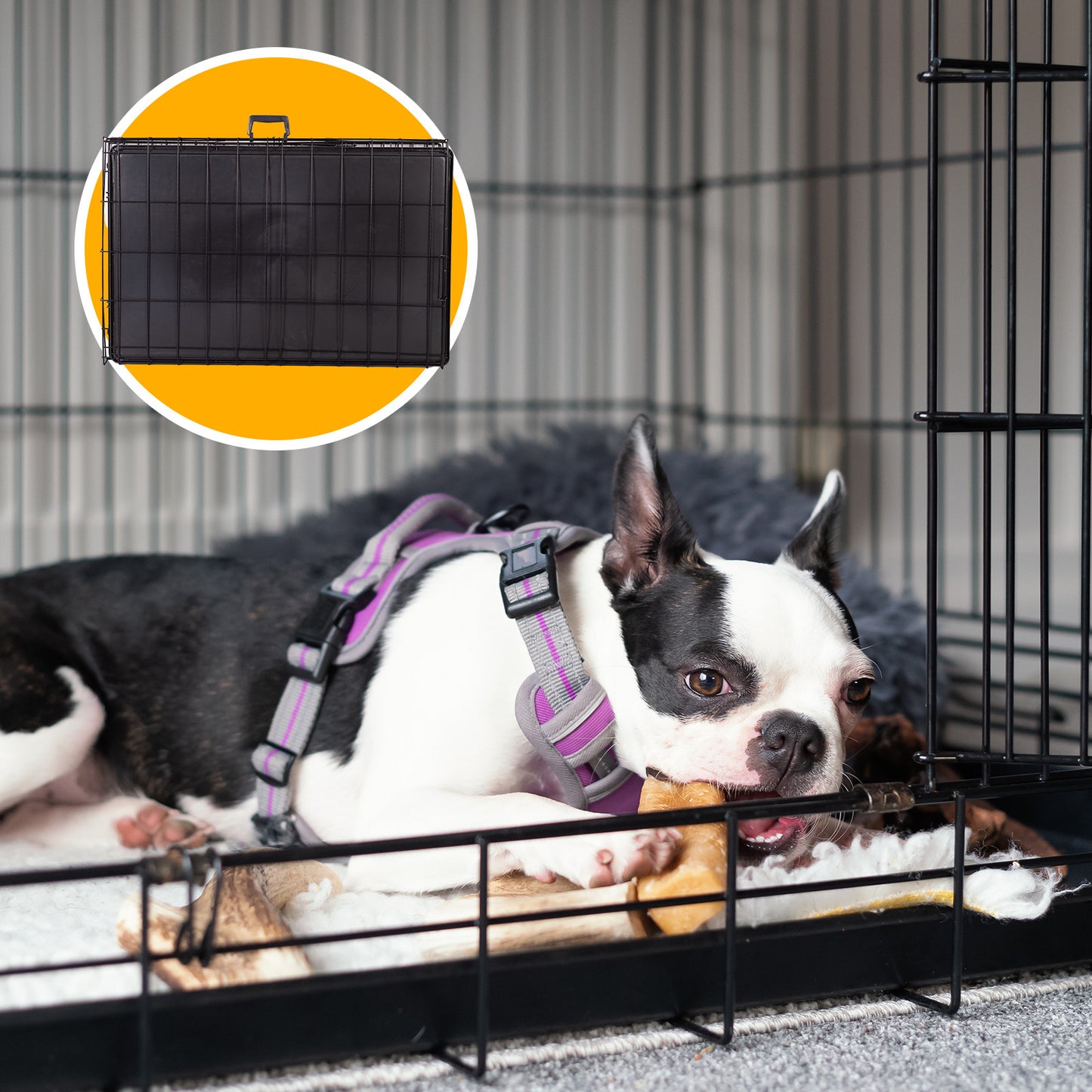 4Paws Foldable Metal Dog Crate with ABS Tray - Portable Pet Cage for Cats and Puppies, Black