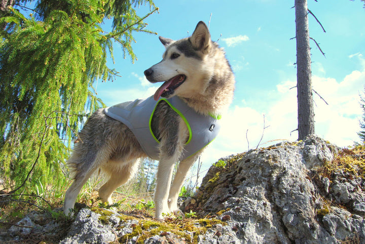 Neon Yellow Cooling Vest - Multiple Sizes Available