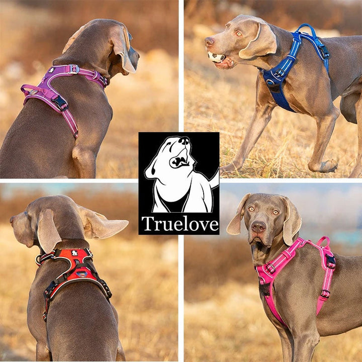 No-Pull Harness: Various Sizes and Colors Available