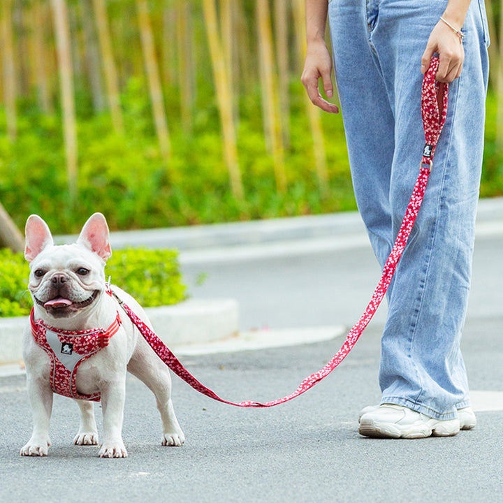 Floral Multi-Handle Leash: Poppy Red and Saxony Blue Varieties