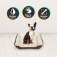 Floofi Pet Bed Bone: Available in various Colors and Sizes.