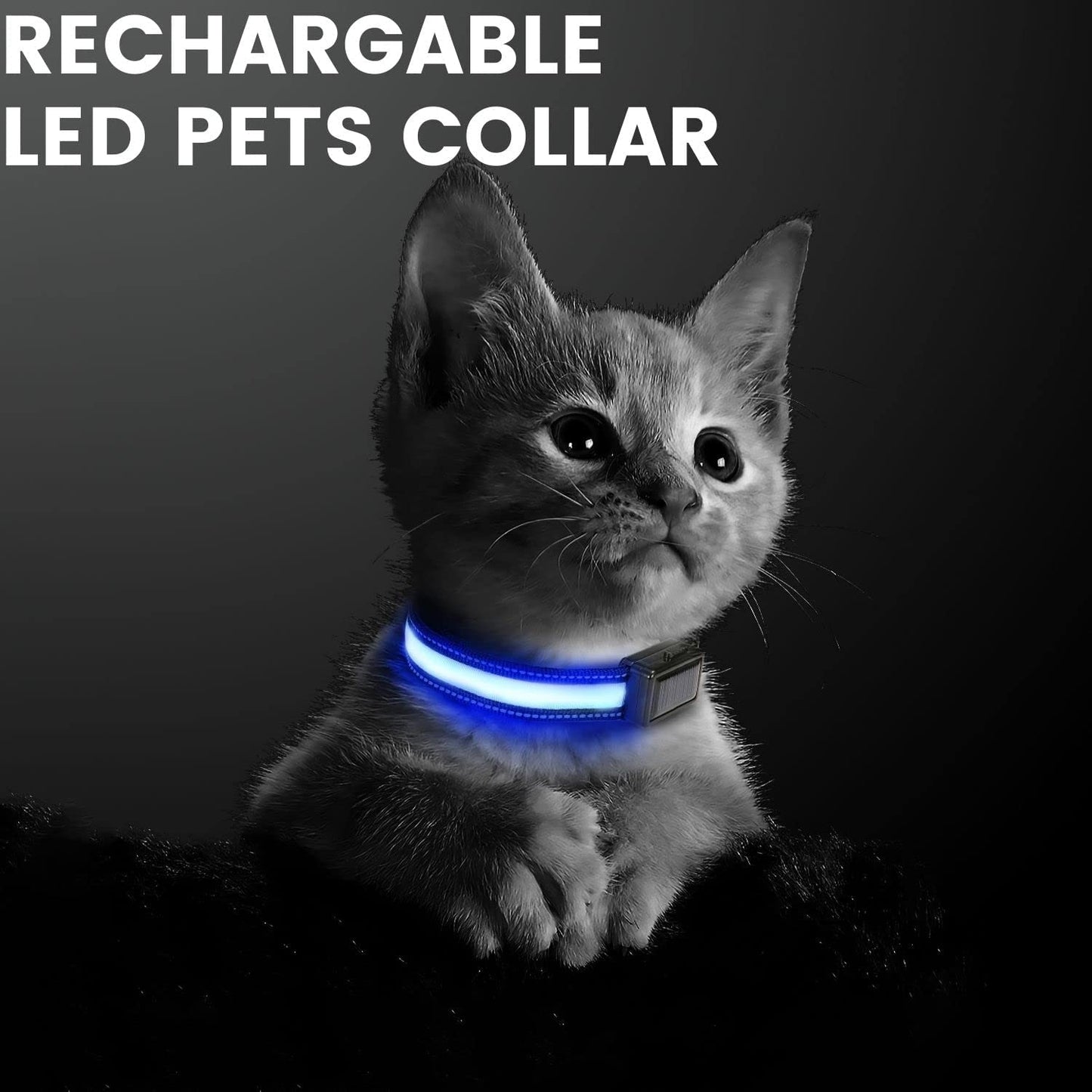 Floofi Solar USB Rechargable LED Dog Collar in various colours and sizes