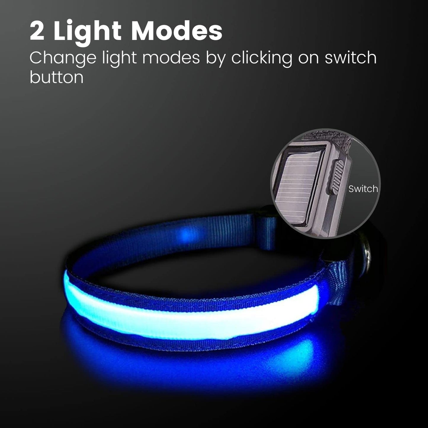 Floofi Solar USB Rechargable LED Dog Collar in various colours and sizes