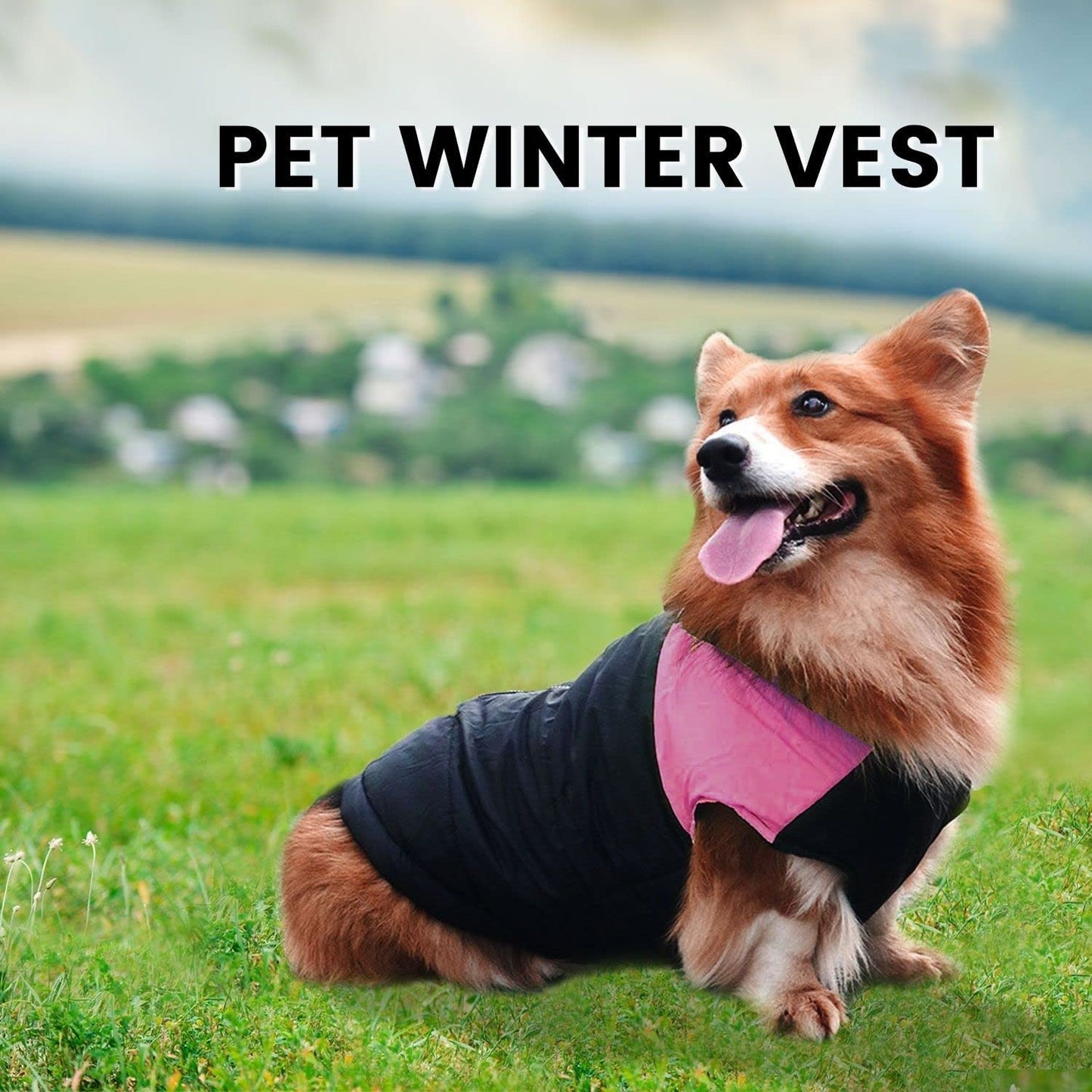 Floofi Pet Winter Vest: Varieties in Colors and Sizes