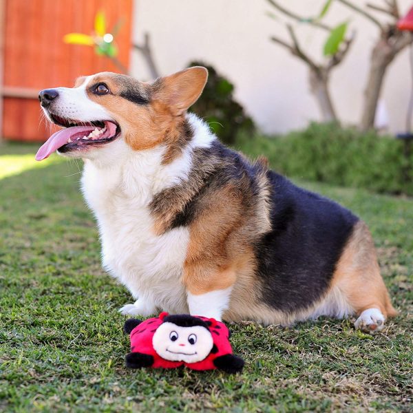 Zippy Paws Squeakie Pad Lady Bug