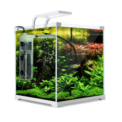 Dynamic Power Aquariums: Starfire Glass and Curved Glass Tanks with RGB LED Lighting