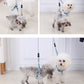 2 X Medium Pet Dog Cat Puppy Kitten Rabbit Harness Collar Leash Set - Available in 3 or 5 Colors