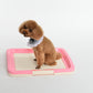 Large Portable Dog Potty Training Tray Pet Puppy Toilet Trays Loo Pad Mat Pink