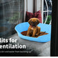 Pet Bed: Plastic Dog Bedding Sleeping Resting Washable Basket in Various Sizes and Colors