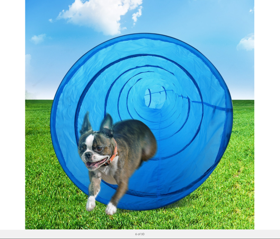 Portable Pet Dog Agility Training Exercise Tunnel Chute with Carry Bag 5.5M