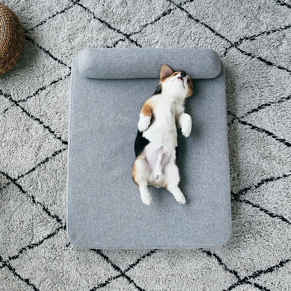 PETKIT Deep Sleep Mattress in M, L Sizes