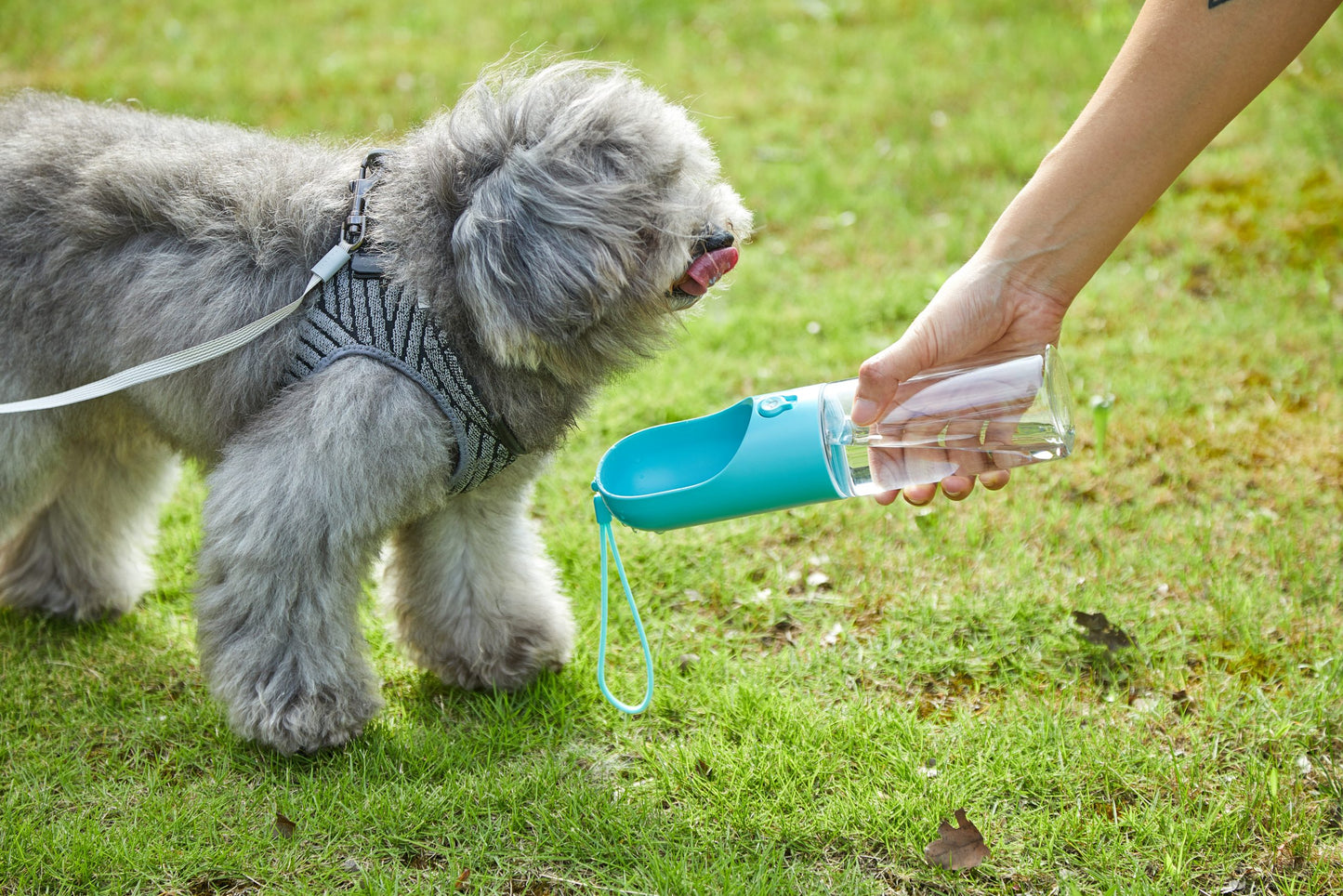 PETKIT Pet Bottle 400ml in Blue, Grey, White