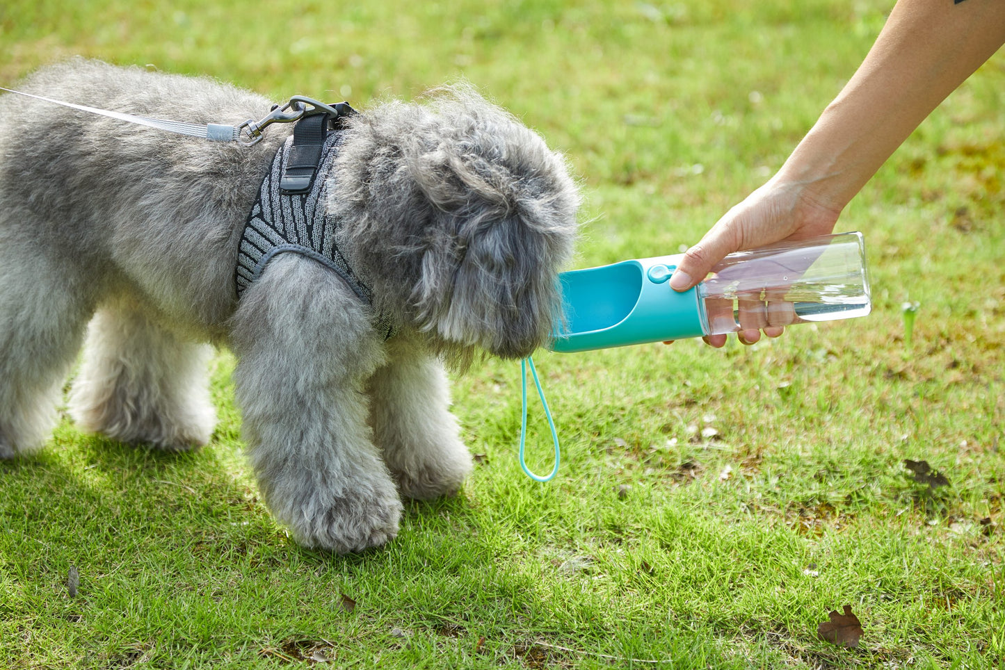 PETKIT Pet Bottle 400ml in Blue, Grey, White