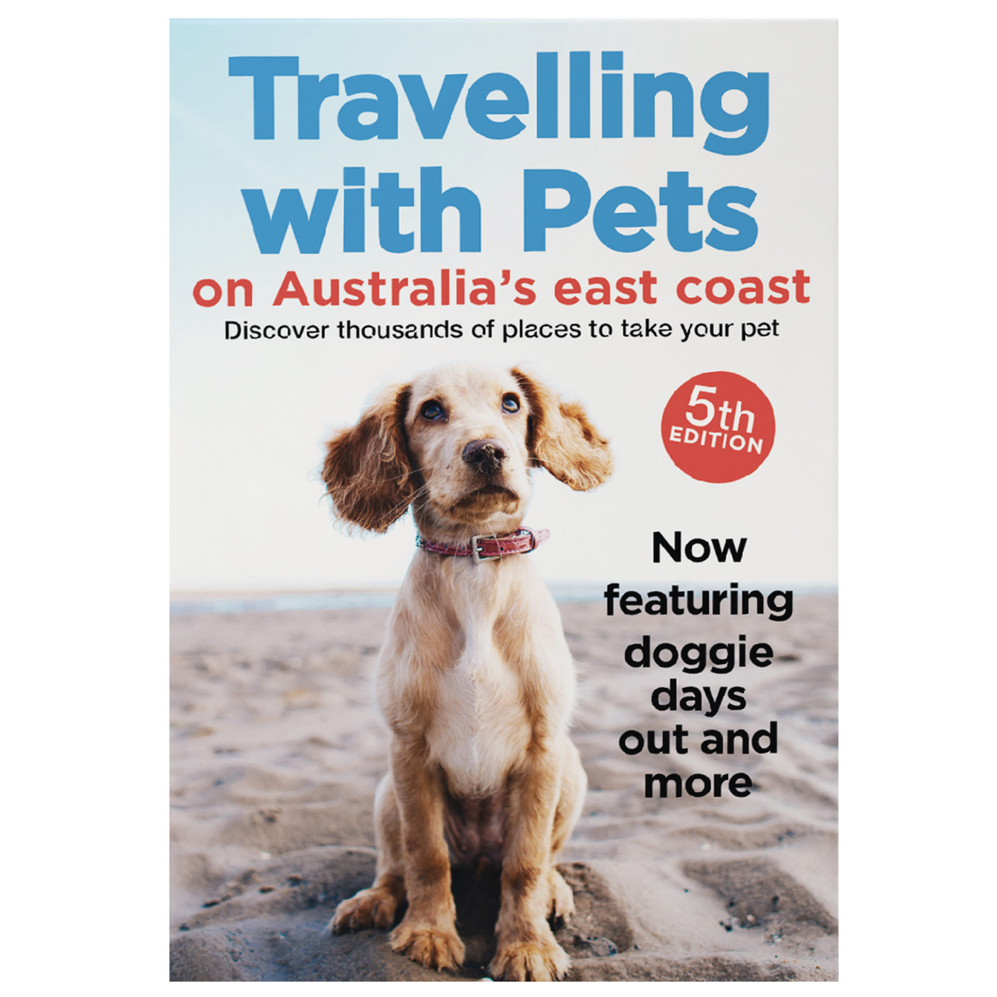 Travelling With Pets - A Definitive Guide to Pet-Friendly Accommodation